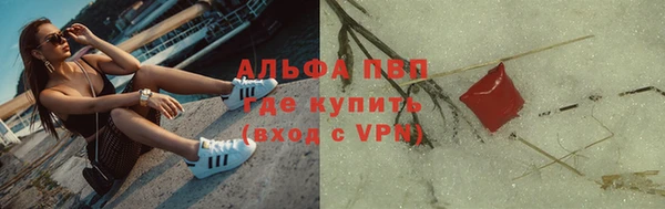 крисы Алексин