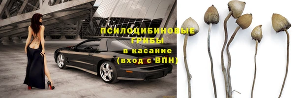 молекула духа Заводоуковск
