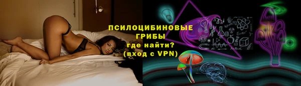 крисы Алексин