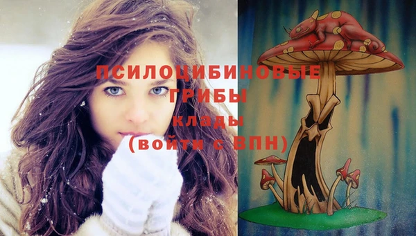 мдпв Заволжск