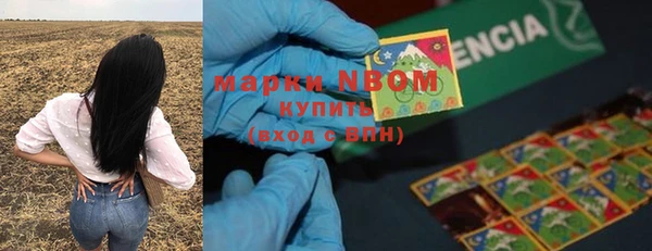 ПСИЛОЦИБИНОВЫЕ ГРИБЫ Абаза